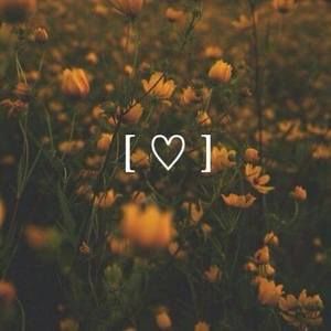 Meet your Posher, Tamara